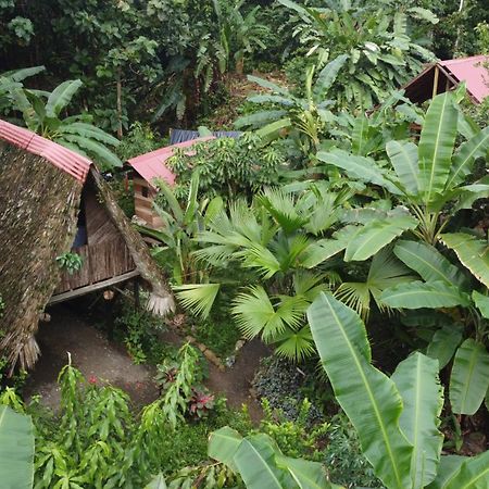 La Aldea Del Primitivo Hotel Nuqui Bagian luar foto