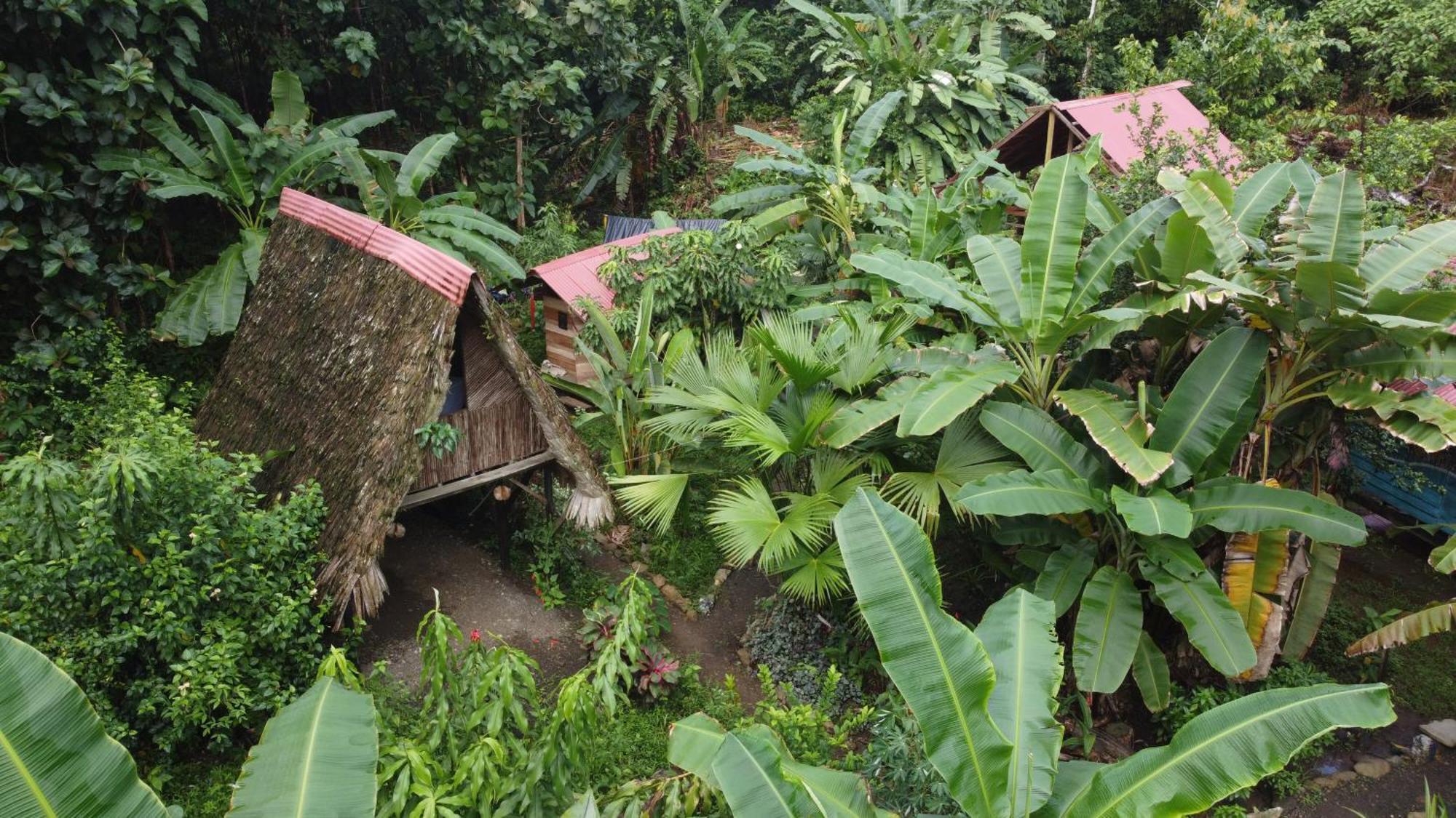 La Aldea Del Primitivo Hotel Nuqui Bagian luar foto