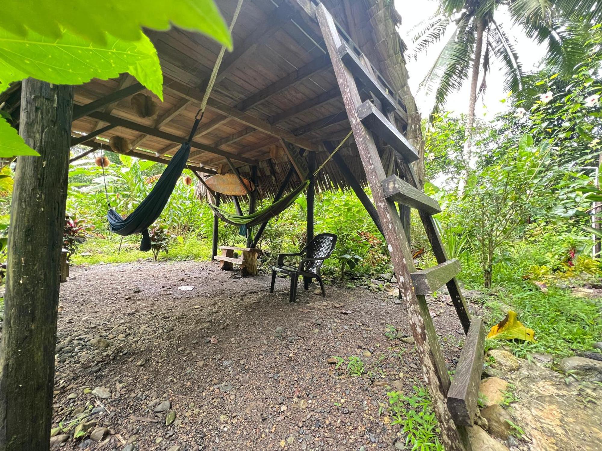 La Aldea Del Primitivo Hotel Nuqui Bagian luar foto