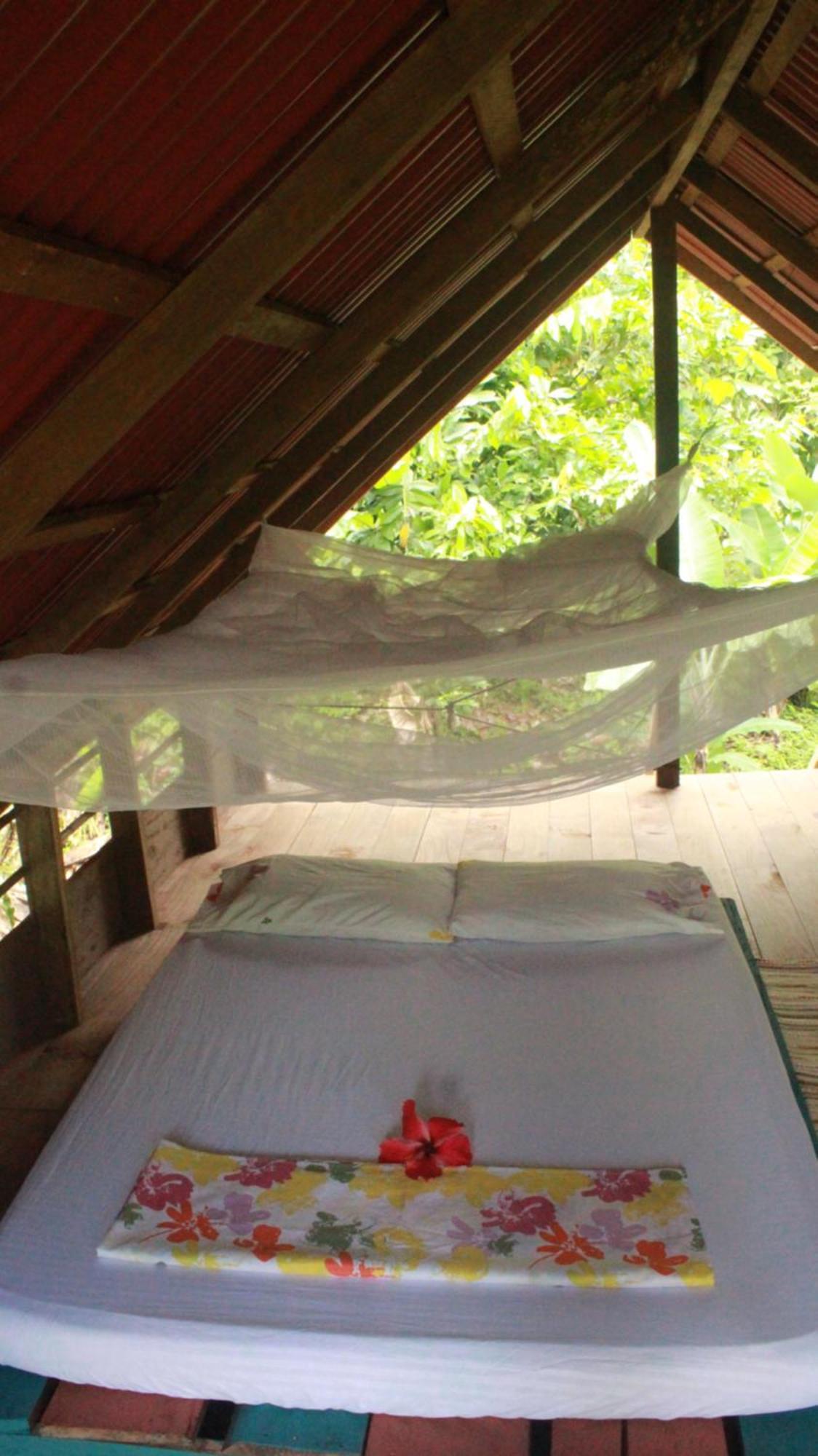 La Aldea Del Primitivo Hotel Nuqui Bagian luar foto