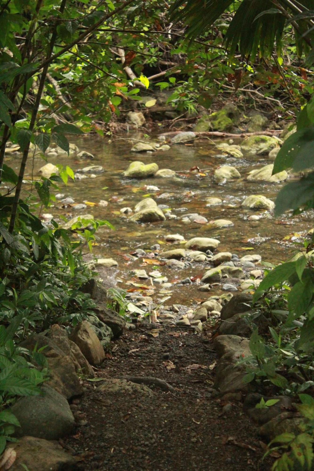 La Aldea Del Primitivo Hotel Nuqui Bagian luar foto